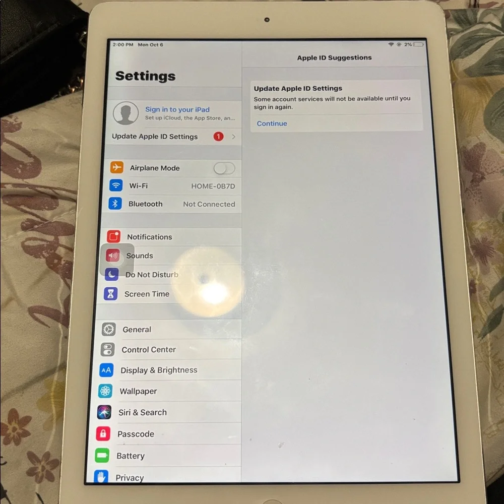 Apple iPad - Silver